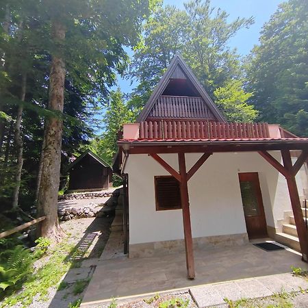 Koca Planika, Sviscaki Villa Ilirska Bistrica Dış mekan fotoğraf