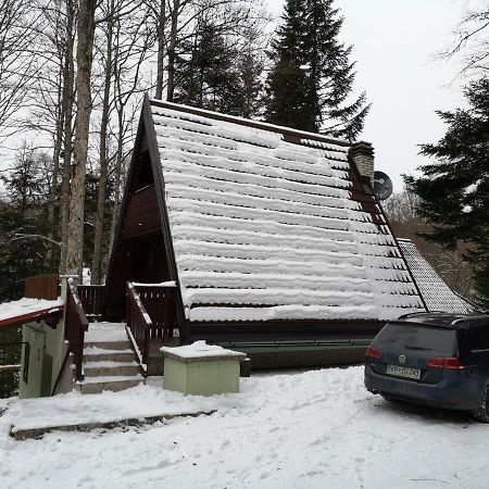 Koca Planika, Sviscaki Villa Ilirska Bistrica Dış mekan fotoğraf