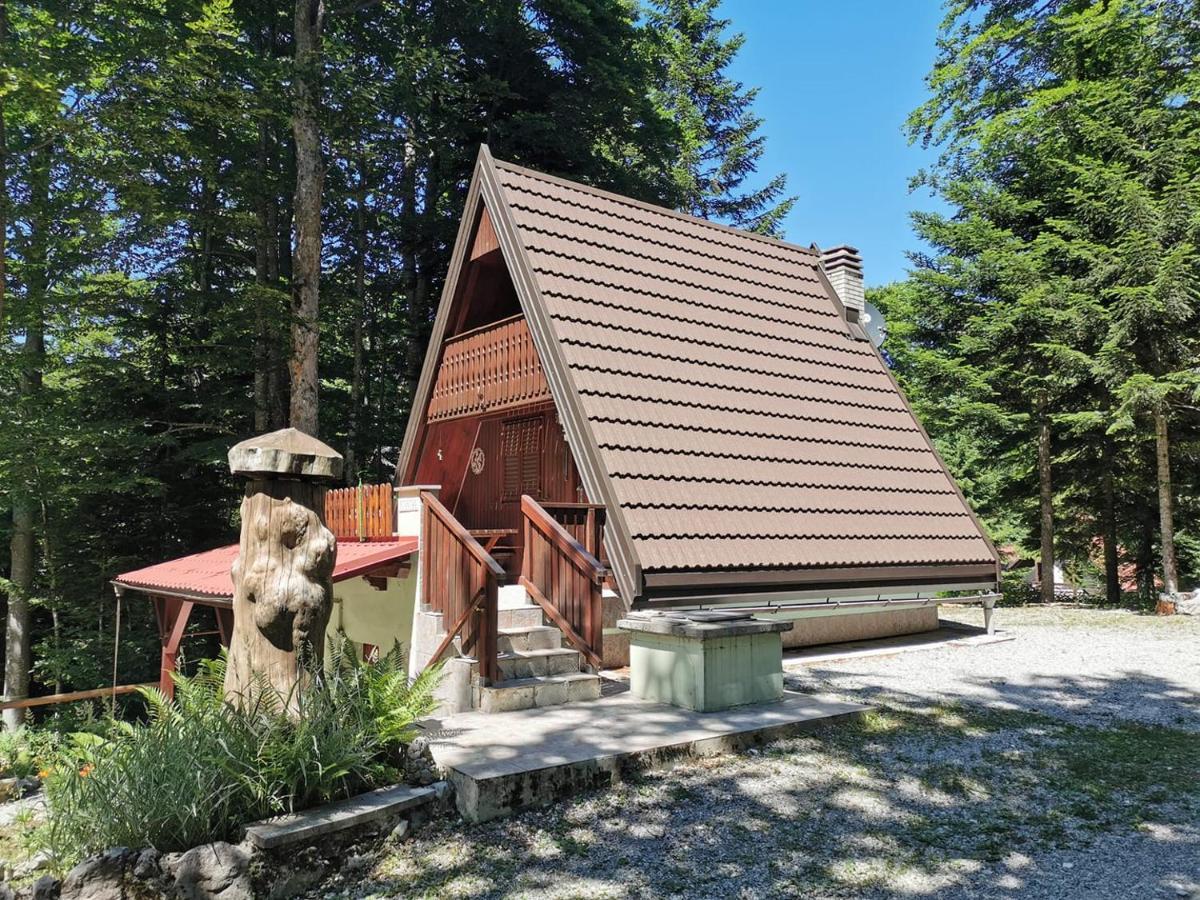 Koca Planika, Sviscaki Villa Ilirska Bistrica Dış mekan fotoğraf