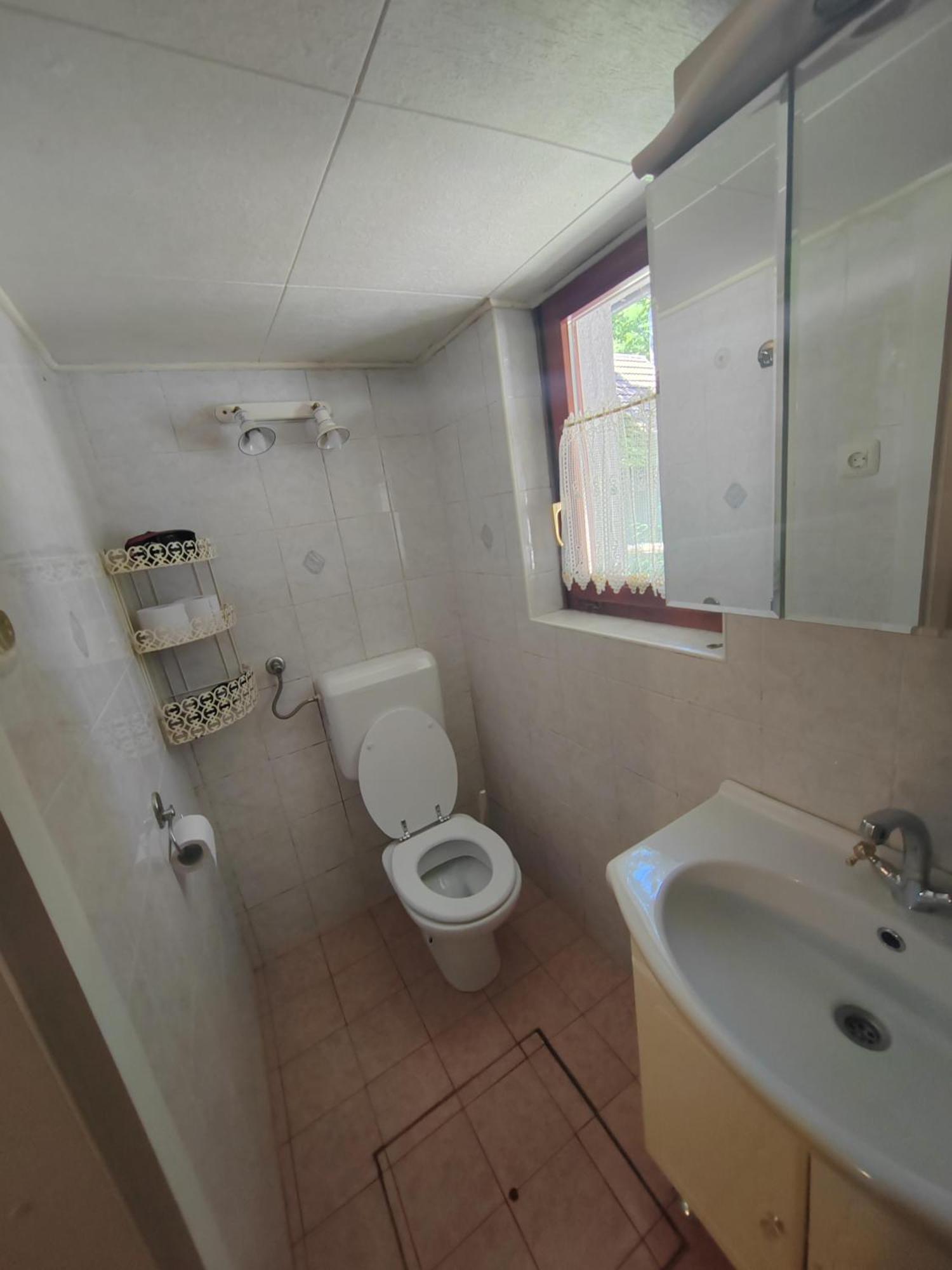 Koca Planika, Sviscaki Villa Ilirska Bistrica Dış mekan fotoğraf