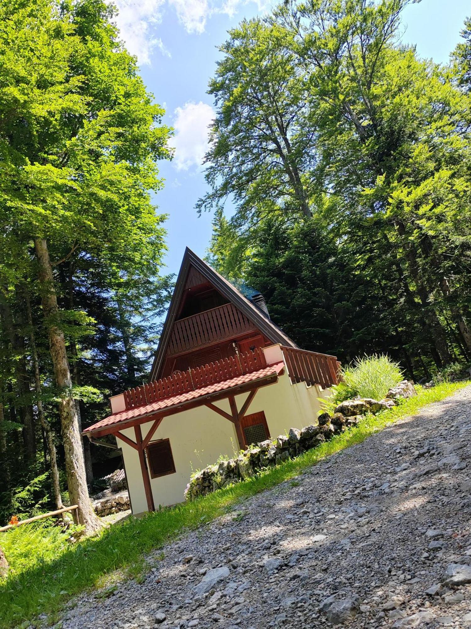 Koca Planika, Sviscaki Villa Ilirska Bistrica Dış mekan fotoğraf