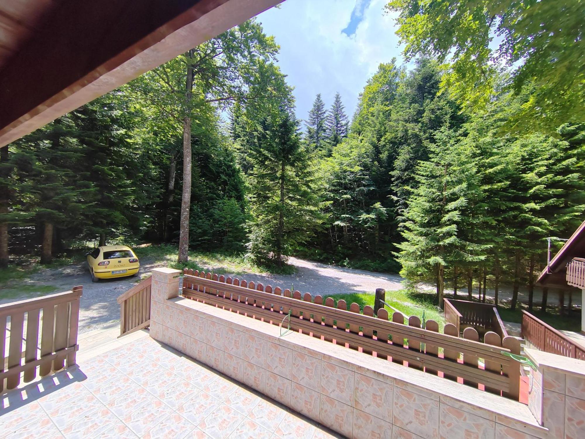 Koca Planika, Sviscaki Villa Ilirska Bistrica Dış mekan fotoğraf